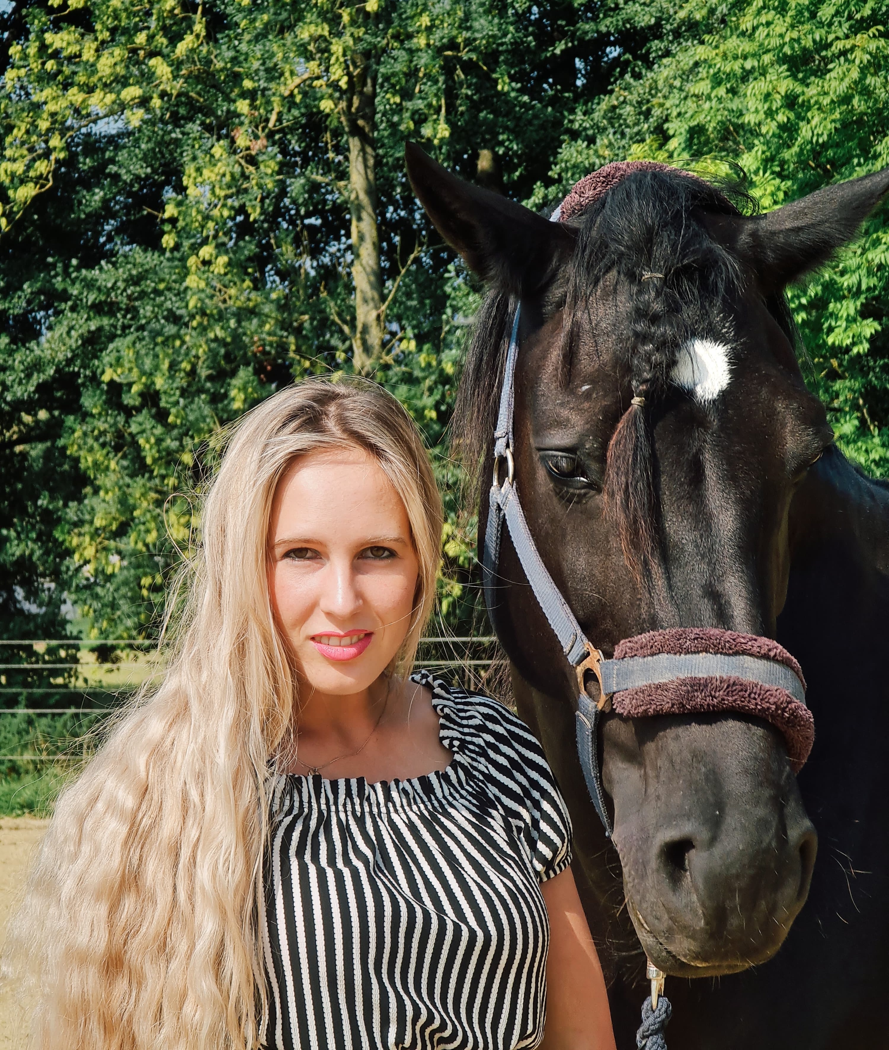 BildmitPferd1_sameHeight