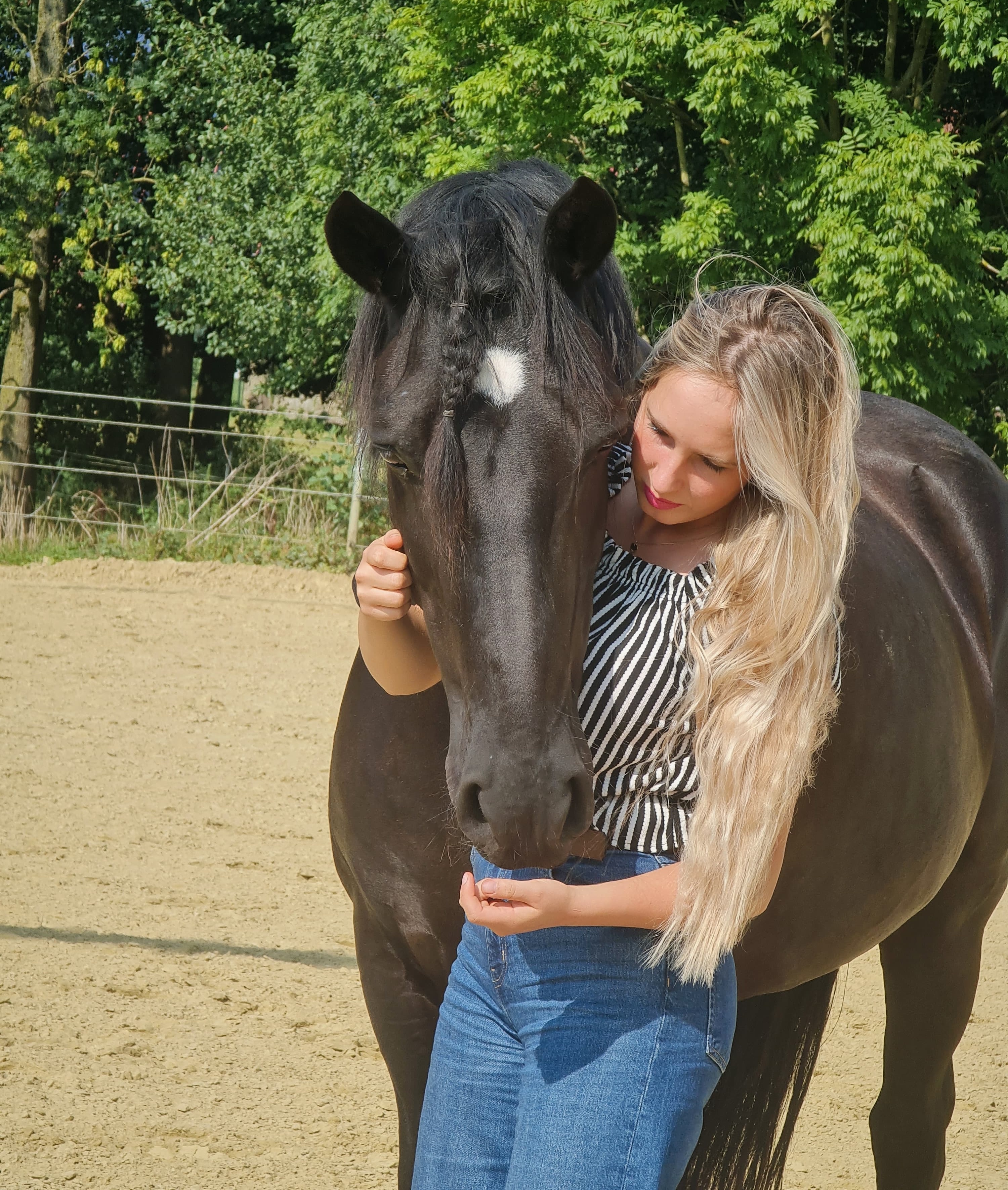 BildmitPferd2_sameHeight